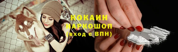 эйфоретик Осинники