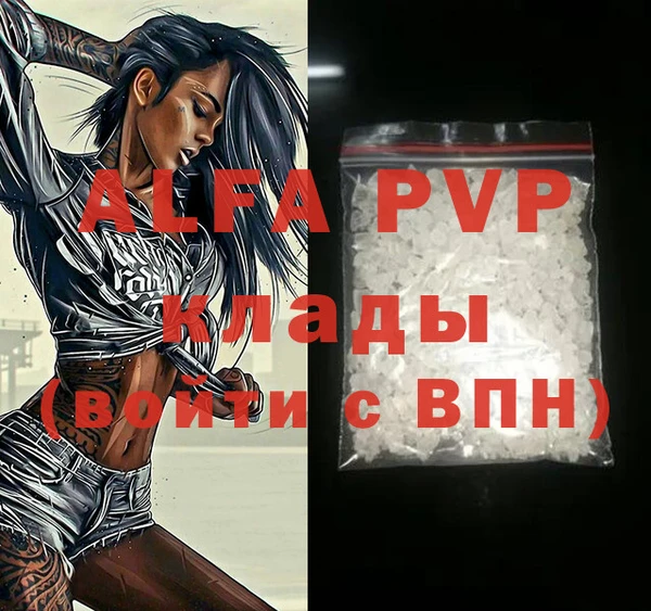 эйфоретик Осинники