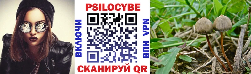 Псилоцибиновые грибы прущие грибы  Колпашево 