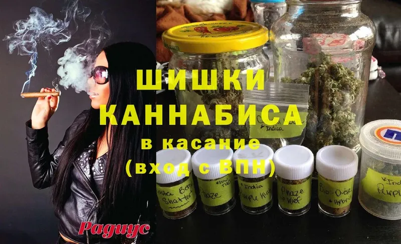 Бошки марихуана SATIVA & INDICA  Колпашево 